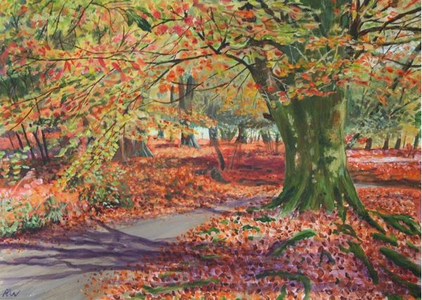 Autumn Leaves in Savernake Forest